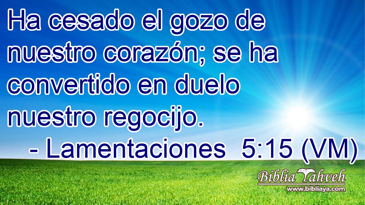  Ha cesado el gozo de nuestro corazón; se ha convertido en duelo nuestro regocijo. 