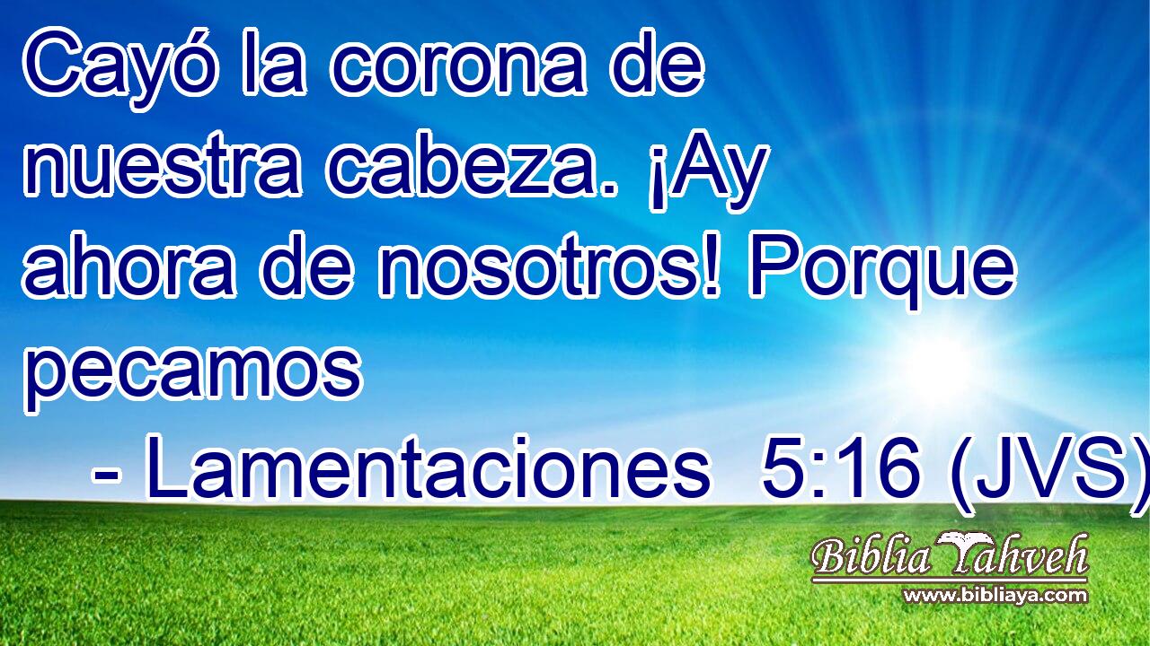 Cayó la corona de nuestra cabeza. ¡Ay ahora de nosotros! Porque pecamos