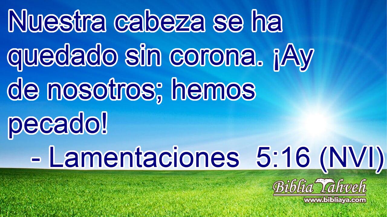  Nuestra cabeza se ha quedado sin corona. ¡Ay de nosotros; hemos pecado! 
