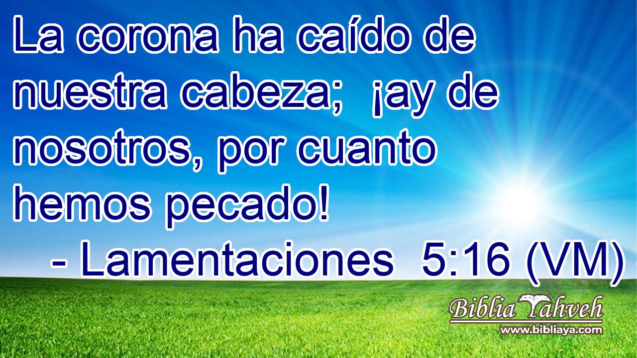  La corona ha caído de nuestra cabeza;  ¡ay de nosotros, por cuanto hemos pecado! 
