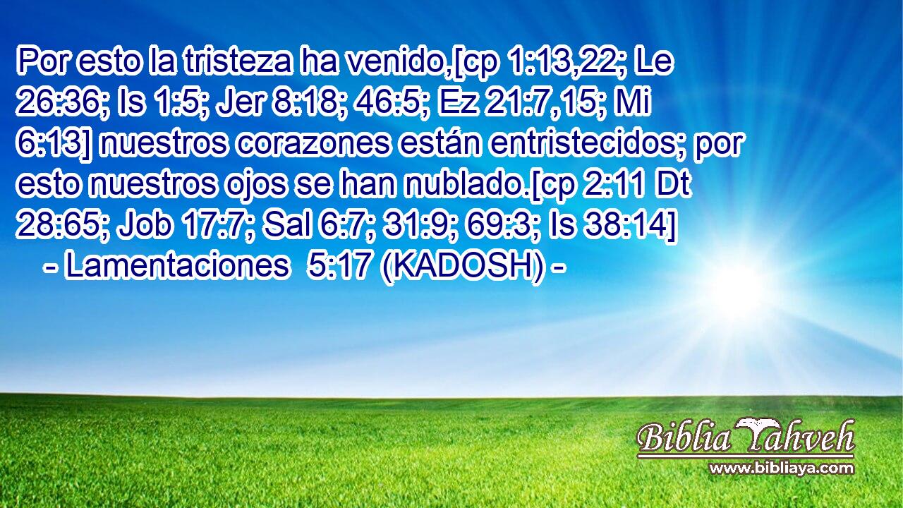  Por esto la tristeza ha venido,[cp 1:13,22; Le 26:36; Is 1:5; Jer 8:18; 46:5; Ez 21:7,15; Mi 6:13] nuestros corazones están entristecidos; por esto nuestros ojos se han nublado.[cp 2:11 Dt 28:65; Job 17:7; Sal 6:7; 31:9; 69:3; Is 38:14] 