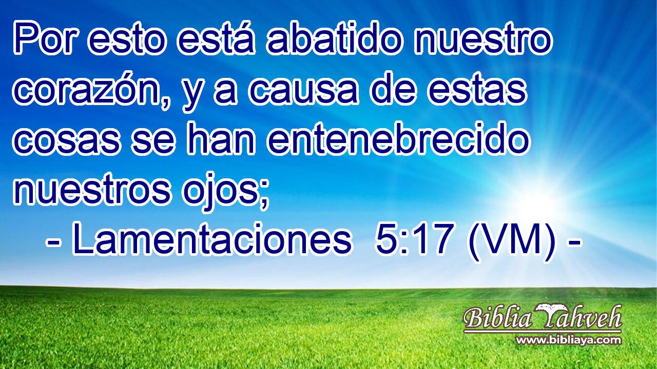  Por esto está abatido nuestro corazón, y a causa de estas cosas se han entenebrecido nuestros ojos; 