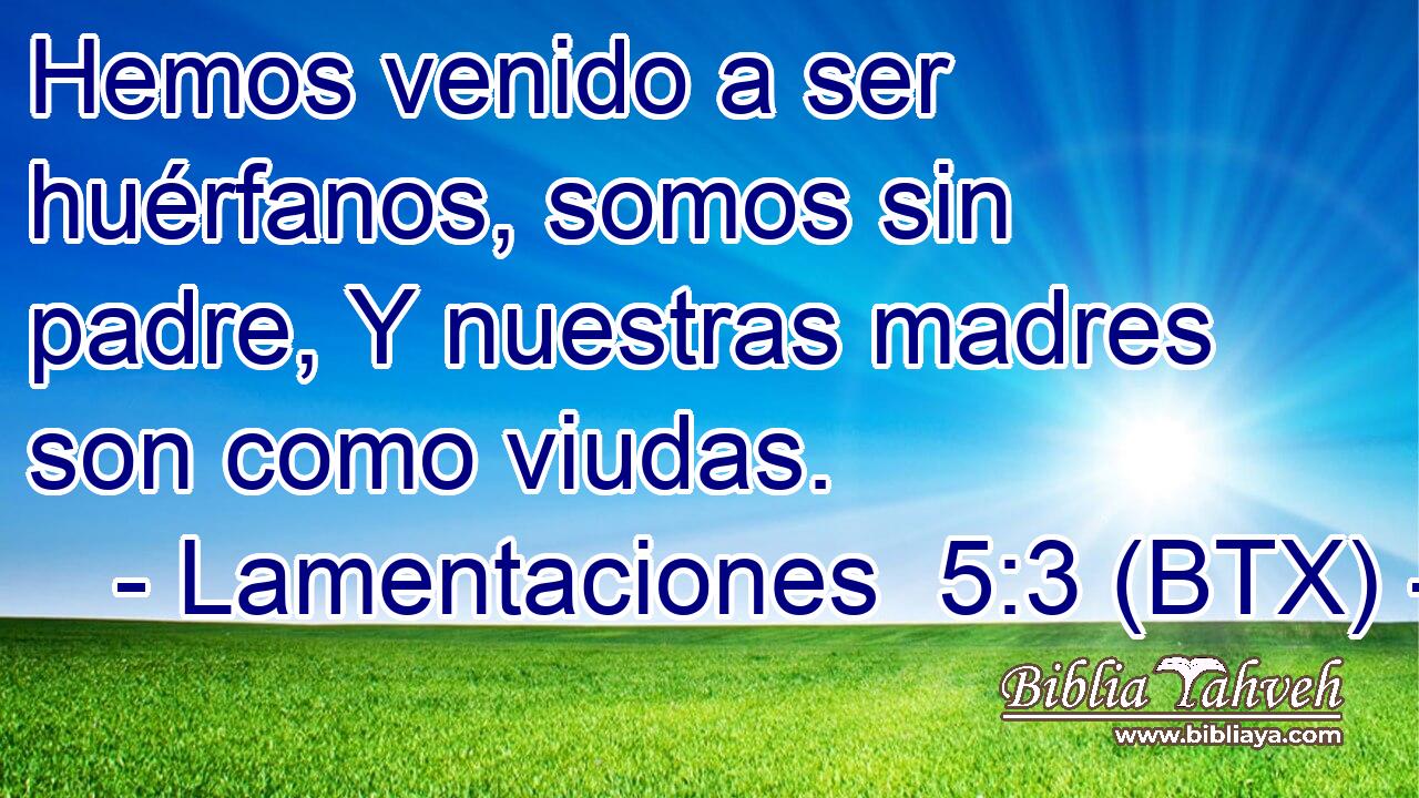 Hemos venido a ser huérfanos, somos sin padre, Y nuestras madres son como viudas.