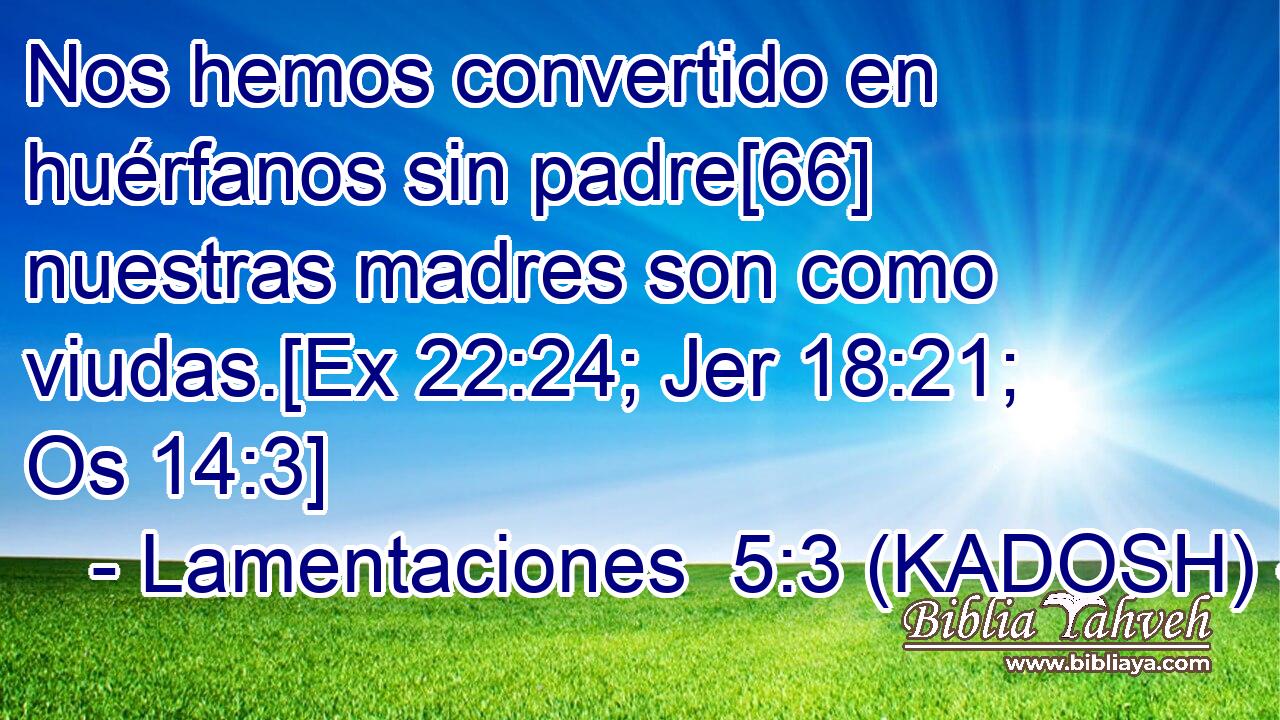  Nos hemos convertido en huérfanos sin padre[66] nuestras madres son como viudas.[Ex 22:24; Jer 18:21; Os 14:3] 