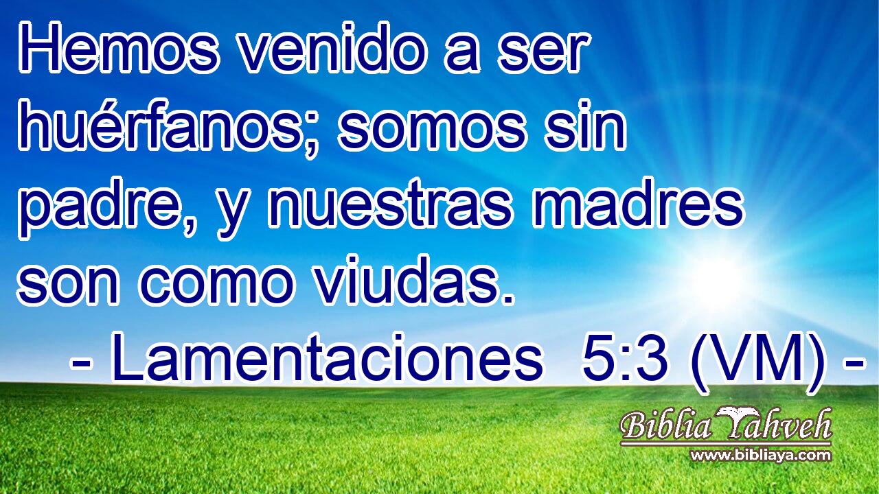  Hemos venido a ser huérfanos; somos sin padre, y nuestras madres son como viudas. 