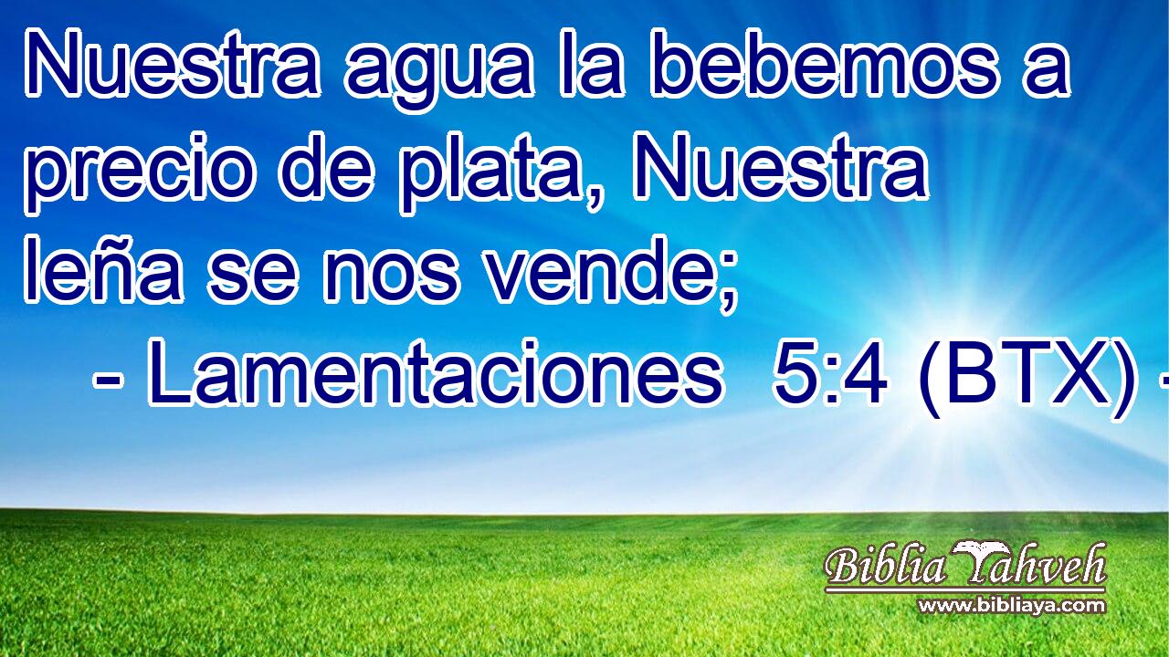 Nuestra agua la bebemos a precio de plata, Nuestra leña se nos vende;