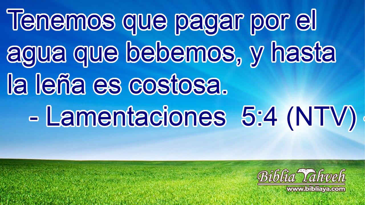 Tenemos que pagar por el agua que bebemos, y hasta la leña es costosa.