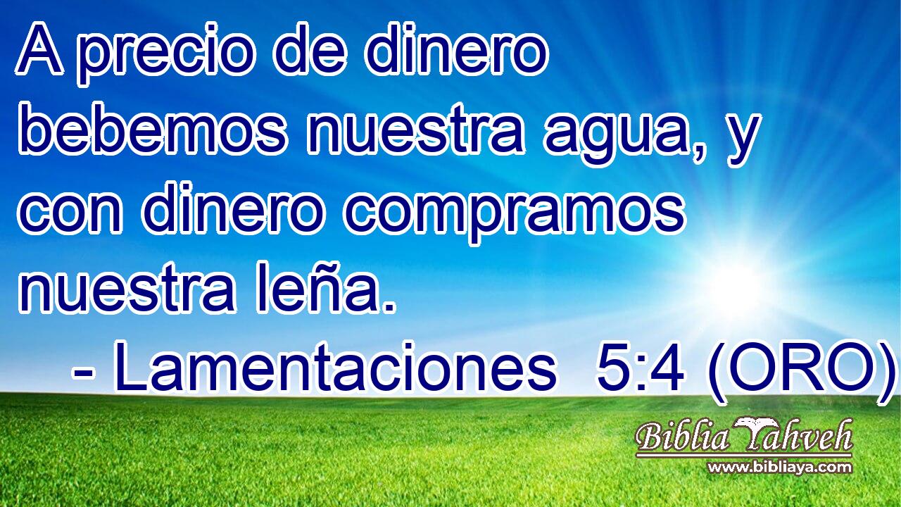  A precio de dinero bebemos nuestra agua, y con dinero compramos nuestra leña. 