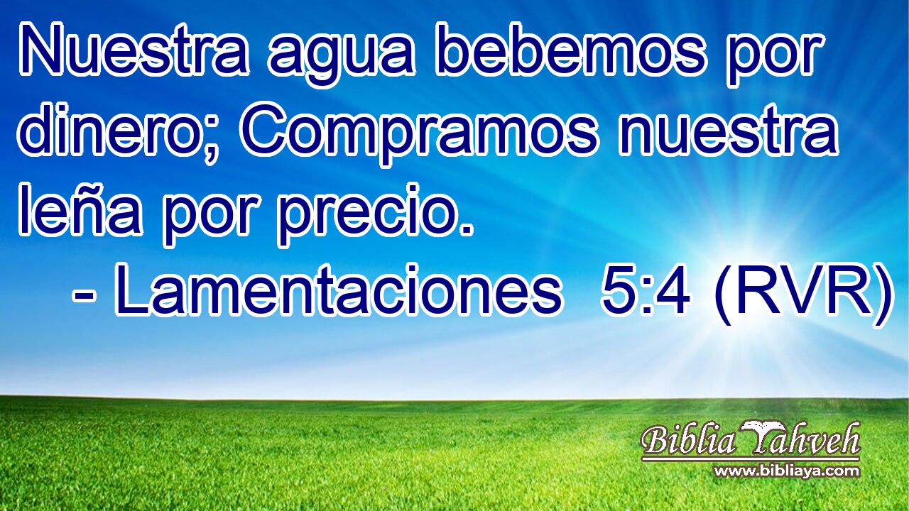 Nuestra agua bebemos por dinero; Compramos nuestra leña por precio.