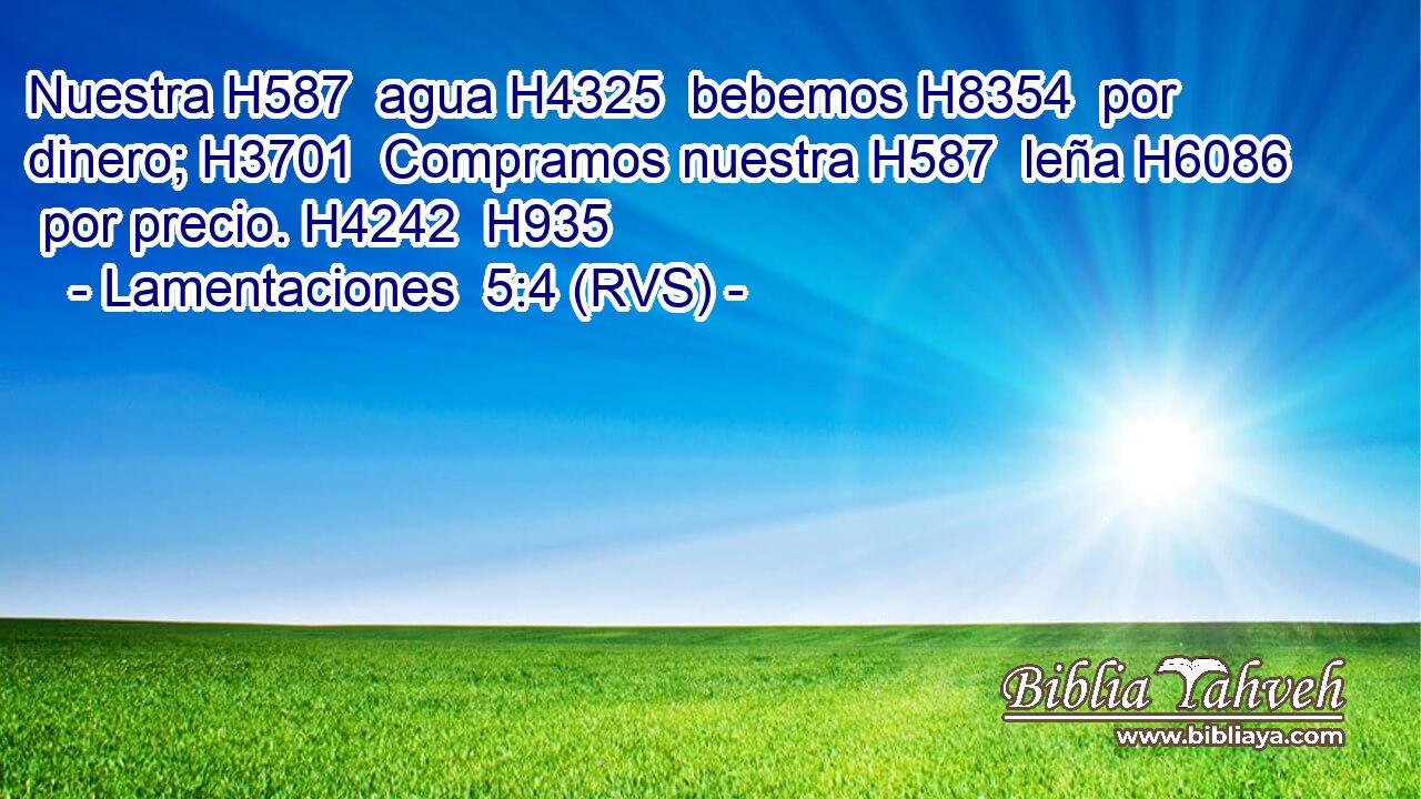 Nuestra H587  agua H4325  bebemos H8354  por dinero; H3701  Compramos nuestra H587  leña H6086  por precio. H4242  H935 