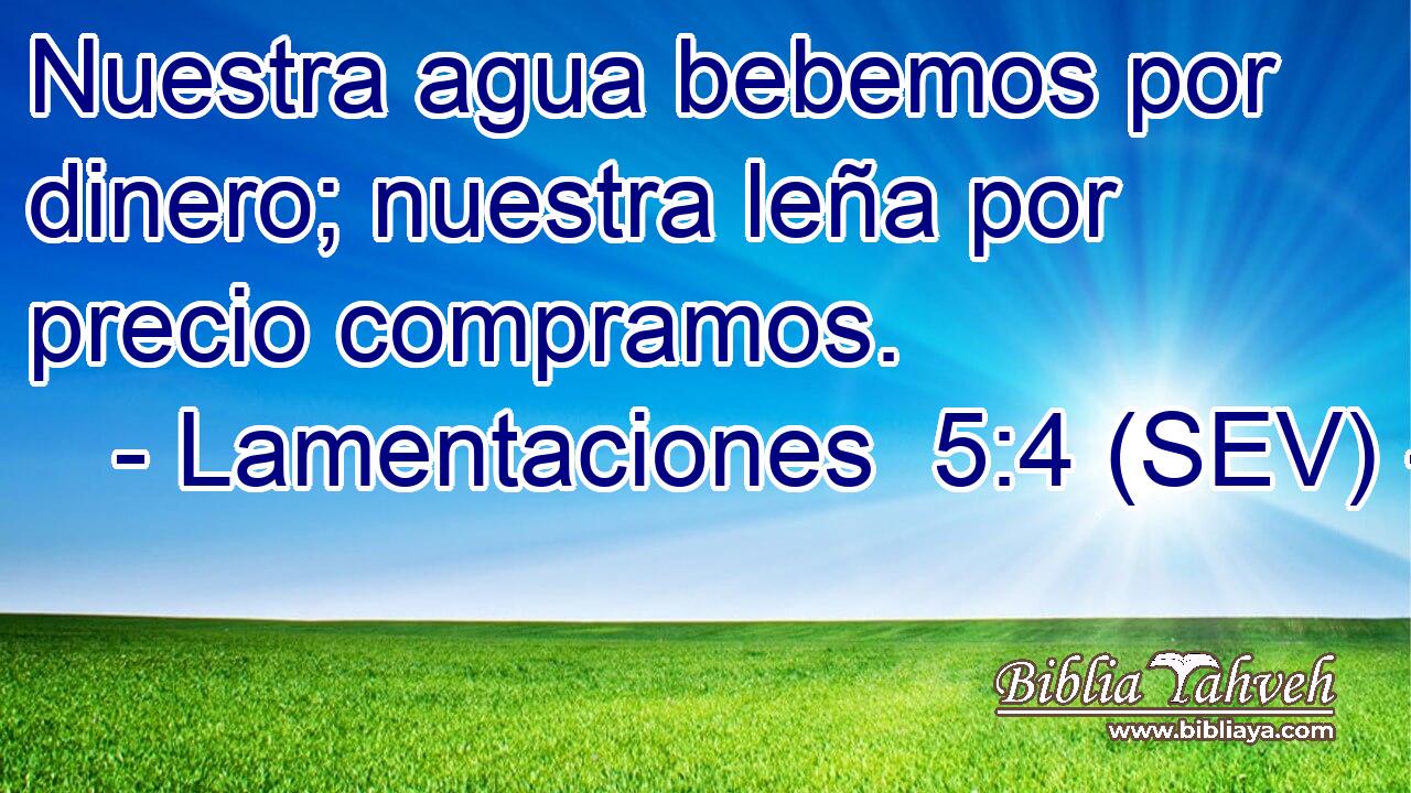 Nuestra agua bebemos por dinero; nuestra leña por precio compramos.
