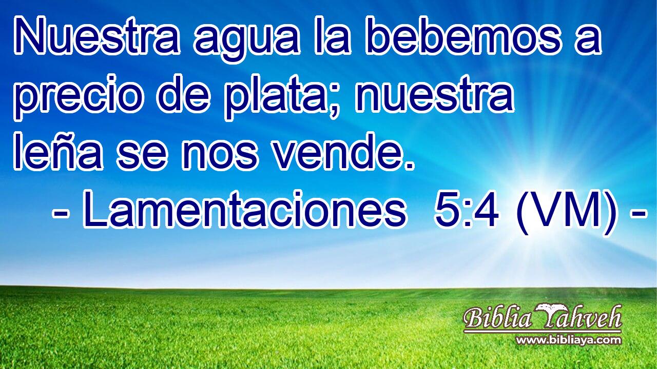  Nuestra agua la bebemos a precio de plata; nuestra leña se nos vende. 