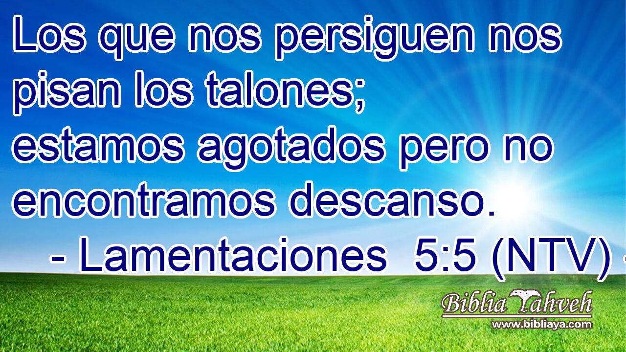Los que nos persiguen nos pisan los talones; estamos agotados pero no encontramos descanso.