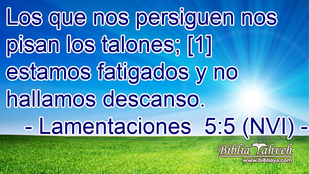  Los que nos persiguen nos pisan los talones; [1] estamos fatigados y no hallamos descanso. 
