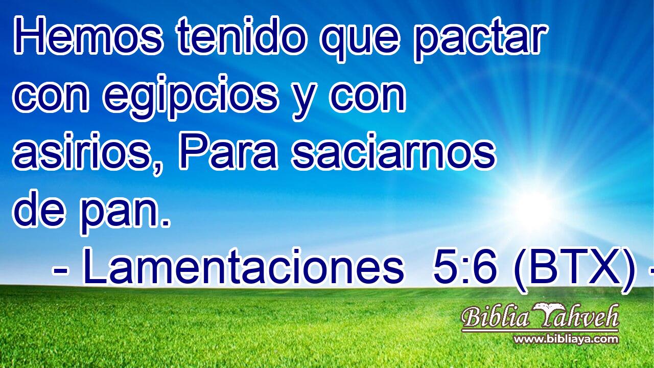 Hemos tenido que pactar con egipcios y con asirios, Para saciarnos de pan.