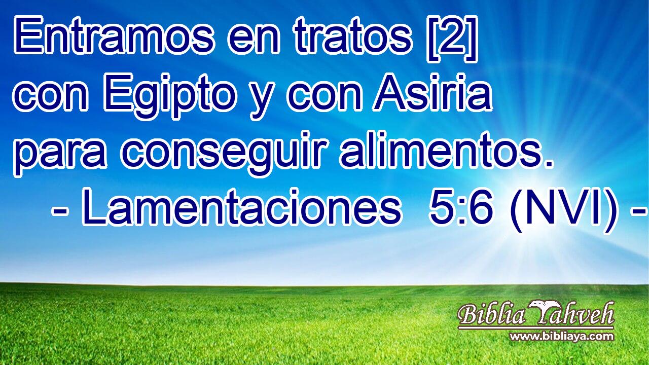  Entramos en tratos [2] con Egipto y con Asiria para conseguir alimentos. 