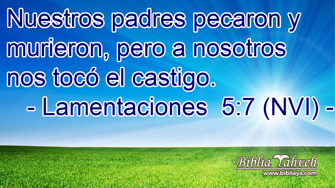  Nuestros padres pecaron y murieron, pero a nosotros nos tocó el castigo. 
