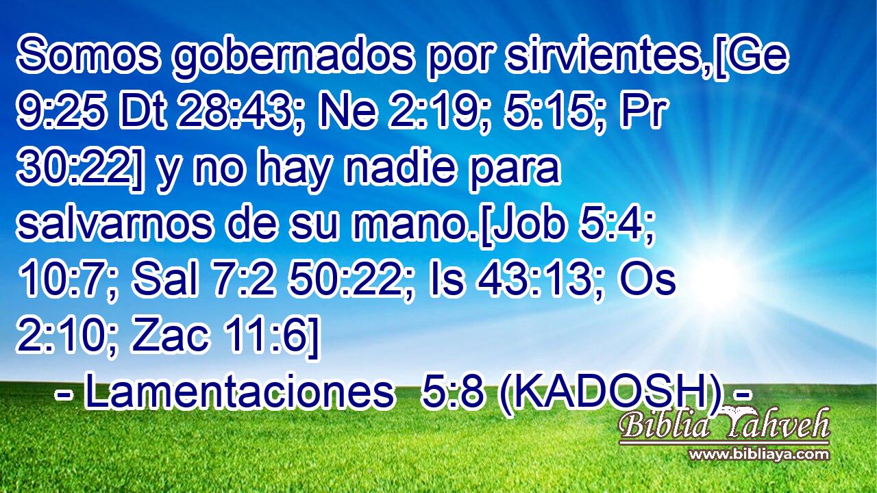  Somos gobernados por sirvientes,[Ge 9:25 Dt 28:43; Ne 2:19; 5:15; Pr 30:22] y no hay nadie para salvarnos de su mano.[Job 5:4; 10:7; Sal 7:2 50:22; Is 43:13; Os 2:10; Zac 11:6] 