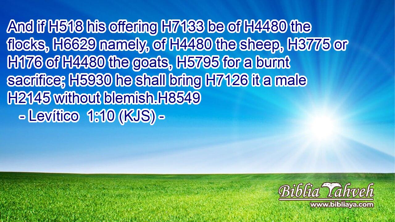And if H518 his offering H7133 be of H4480 the flocks, H6629 namely, of H4480 the sheep, H3775 or H176 of H4480 the goats, H5795 for a burnt sacrifice; H5930 he shall bring H7126 it a male H2145 without blemish.H8549