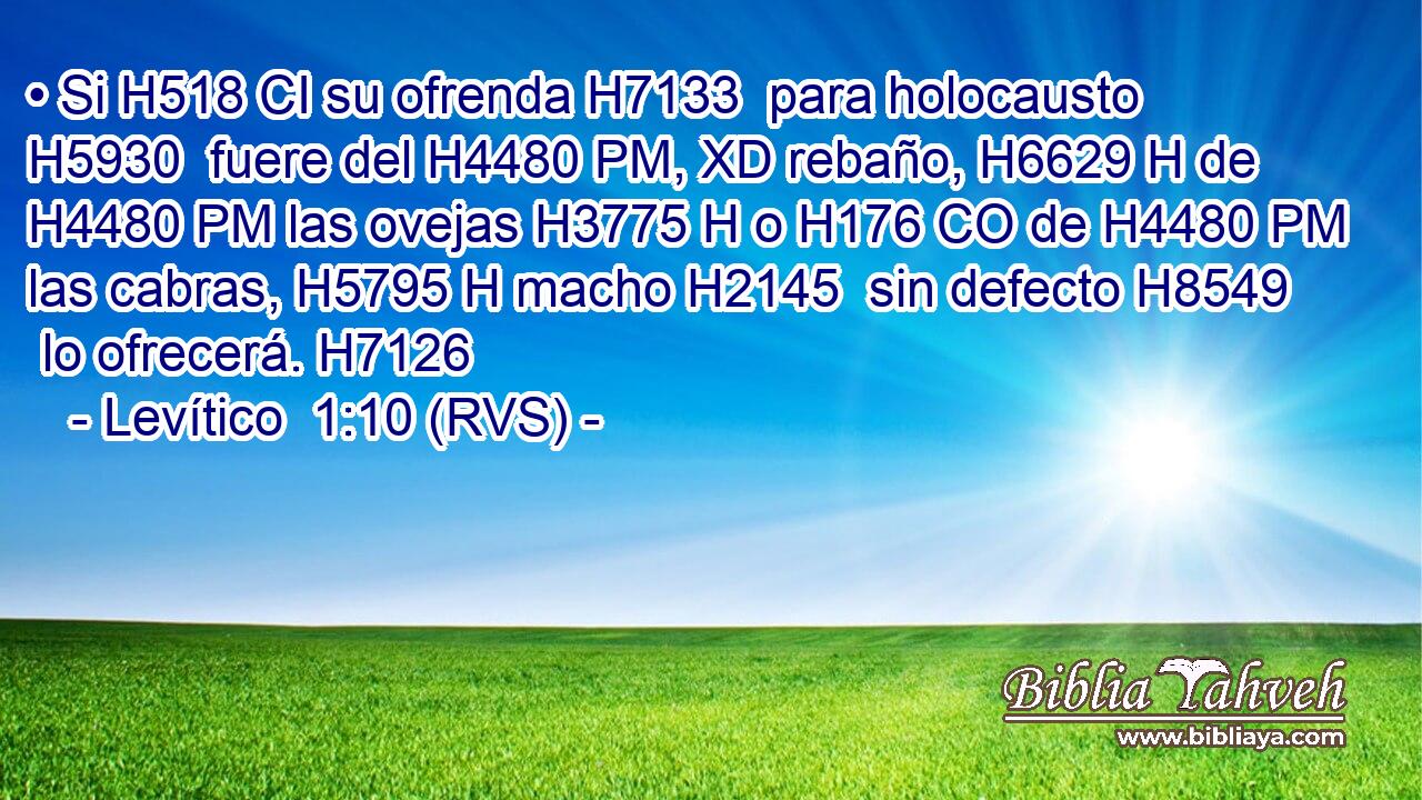 • Si H518 CI su ofrenda H7133  para holocausto H5930  fuere del H4480 PM, XD rebaño, H6629 H de H4480 PM las ovejas H3775 H o H176 CO de H4480 PM las cabras, H5795 H macho H2145  sin defecto H8549  lo ofrecerá. H7126  