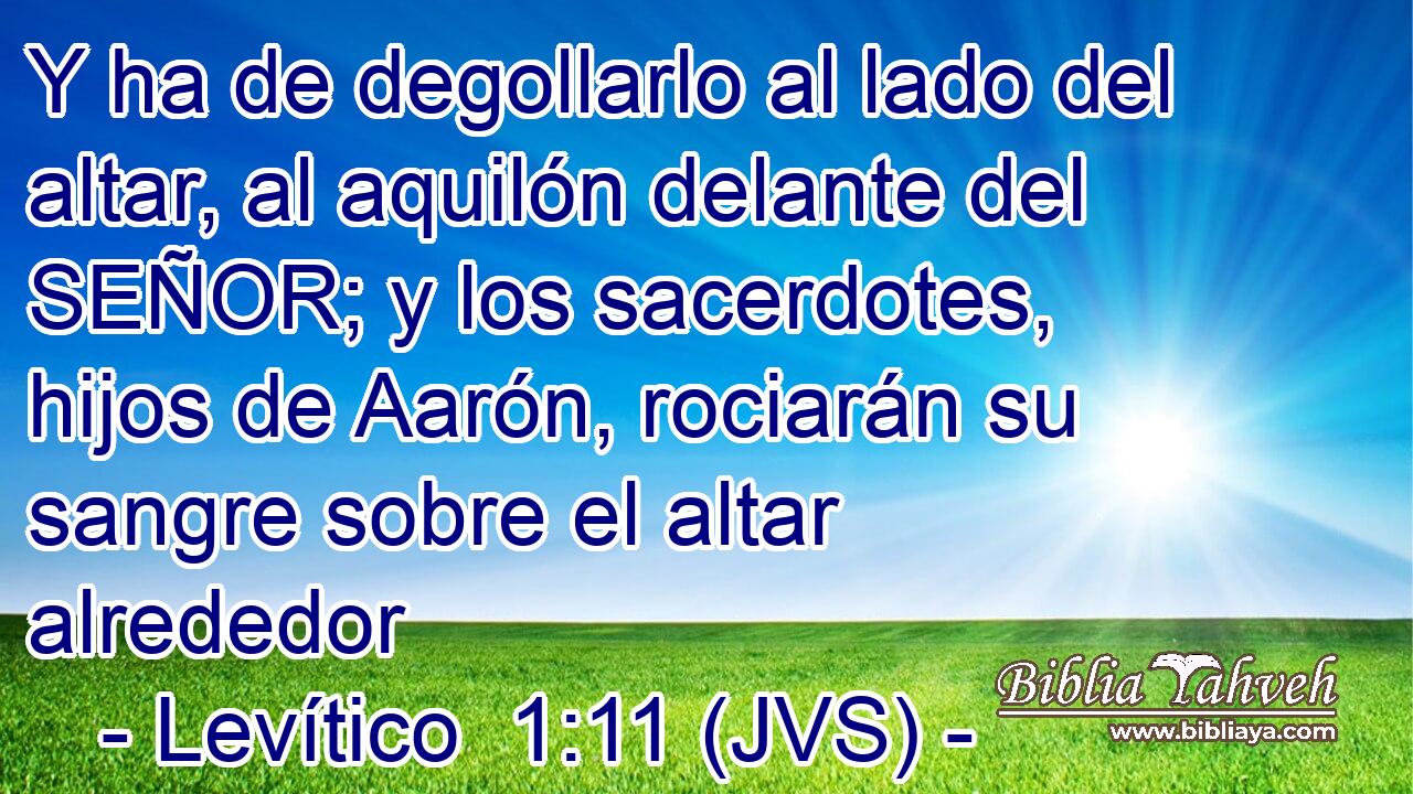 Y ha de degollarlo al lado del altar, al aquilón delante del SEÑOR; y los sacerdotes, hijos de Aarón, rociarán su sangre sobre el altar alrededor