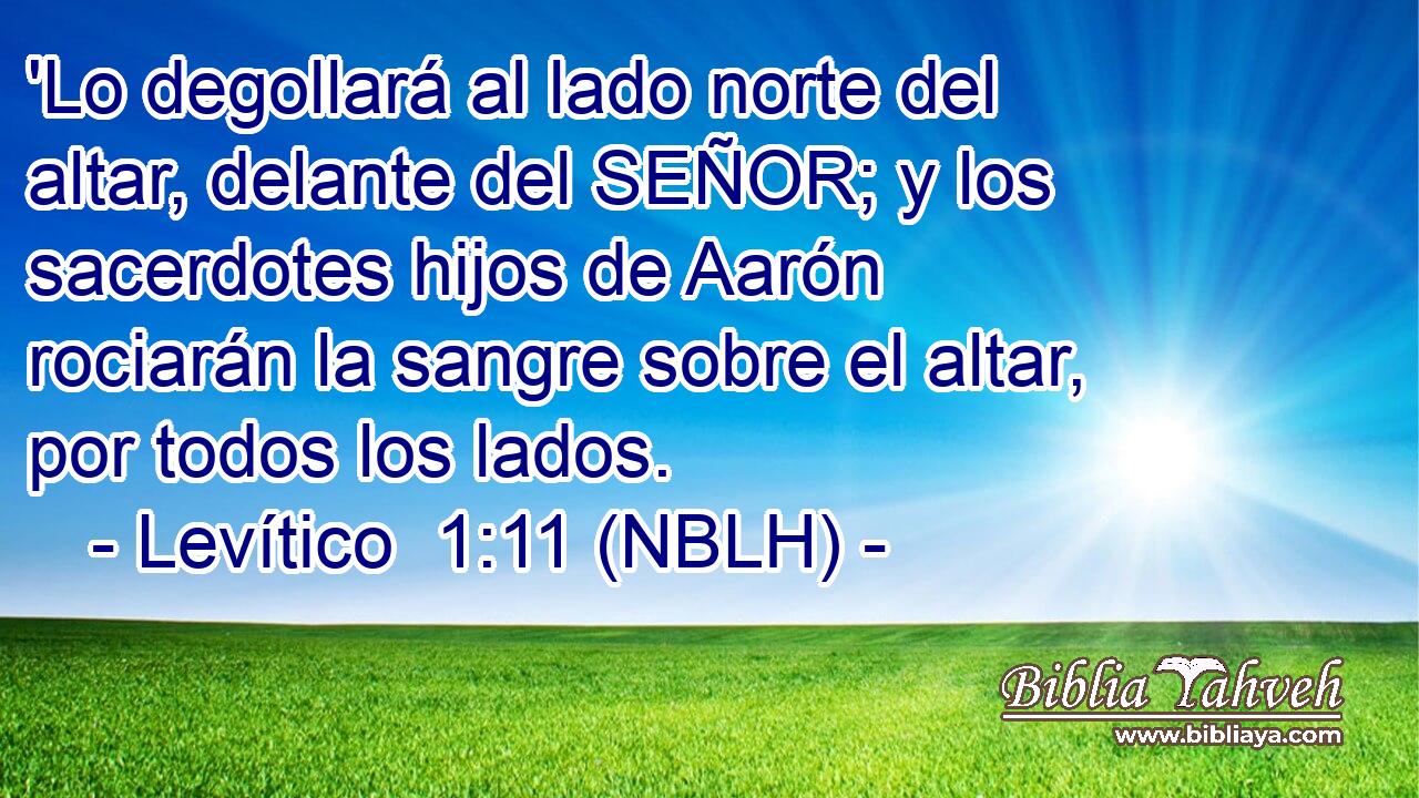  'Lo degollará al lado norte del altar, delante del SEÑOR; y los sacerdotes hijos de Aarón rociarán la sangre sobre el altar, por todos los lados. 
