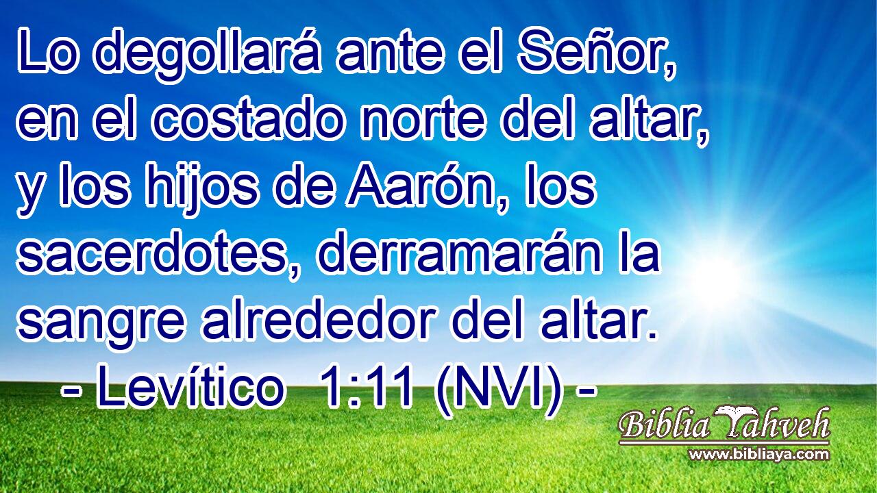  Lo degollará ante el Señor, en el costado norte del altar, y los hijos de Aarón, los sacerdotes, derramarán la sangre alrededor del altar. 