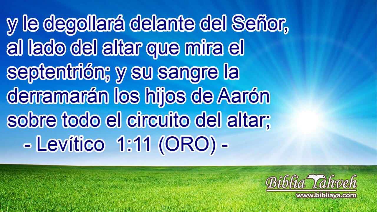  y le degollará delante del Señor, al lado del altar que mira el septentrión; y su sangre la derramarán los hijos de Aarón sobre todo el circuito del altar; 