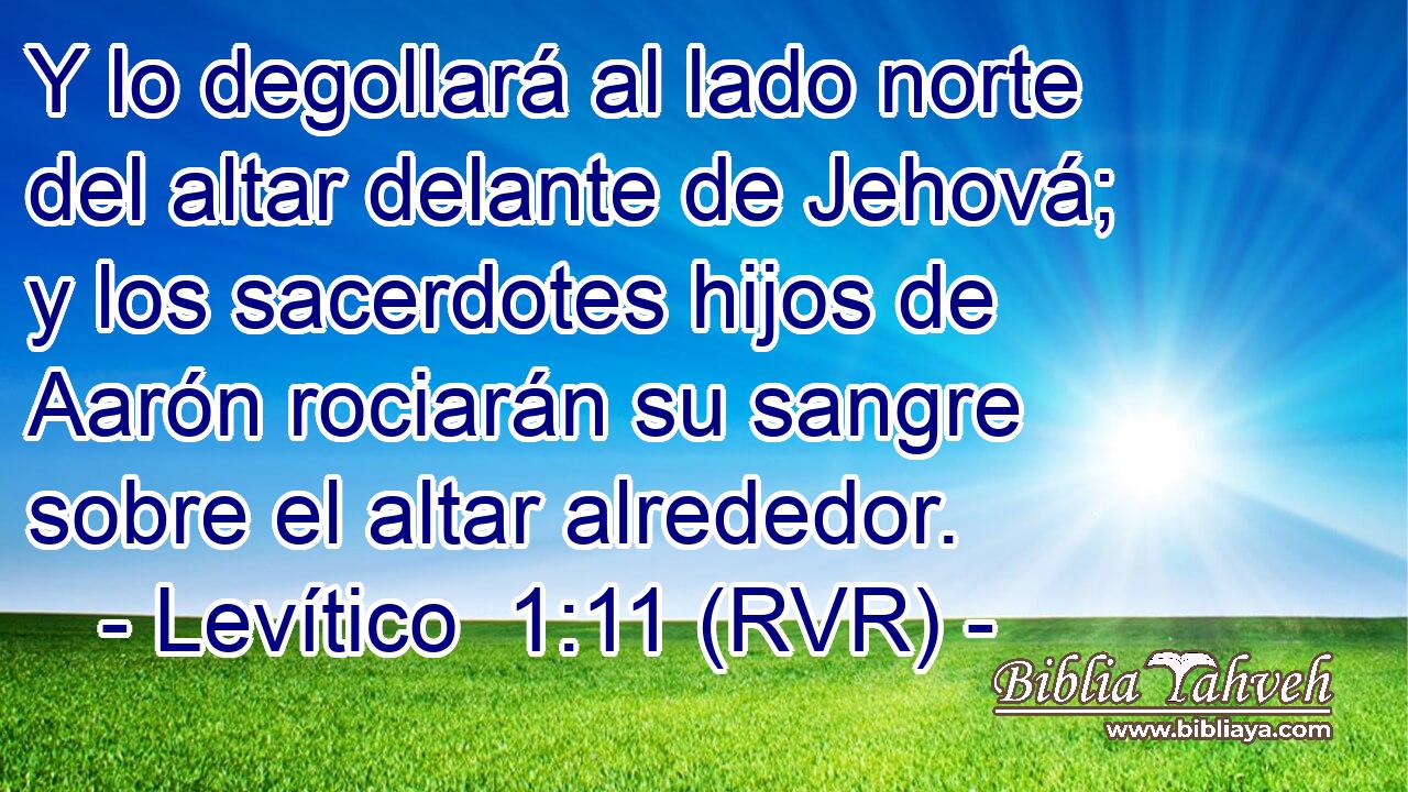Y lo degollará al lado norte del altar delante de Jehová; y los sacerdotes hijos de Aarón rociarán su sangre sobre el altar alrededor.
