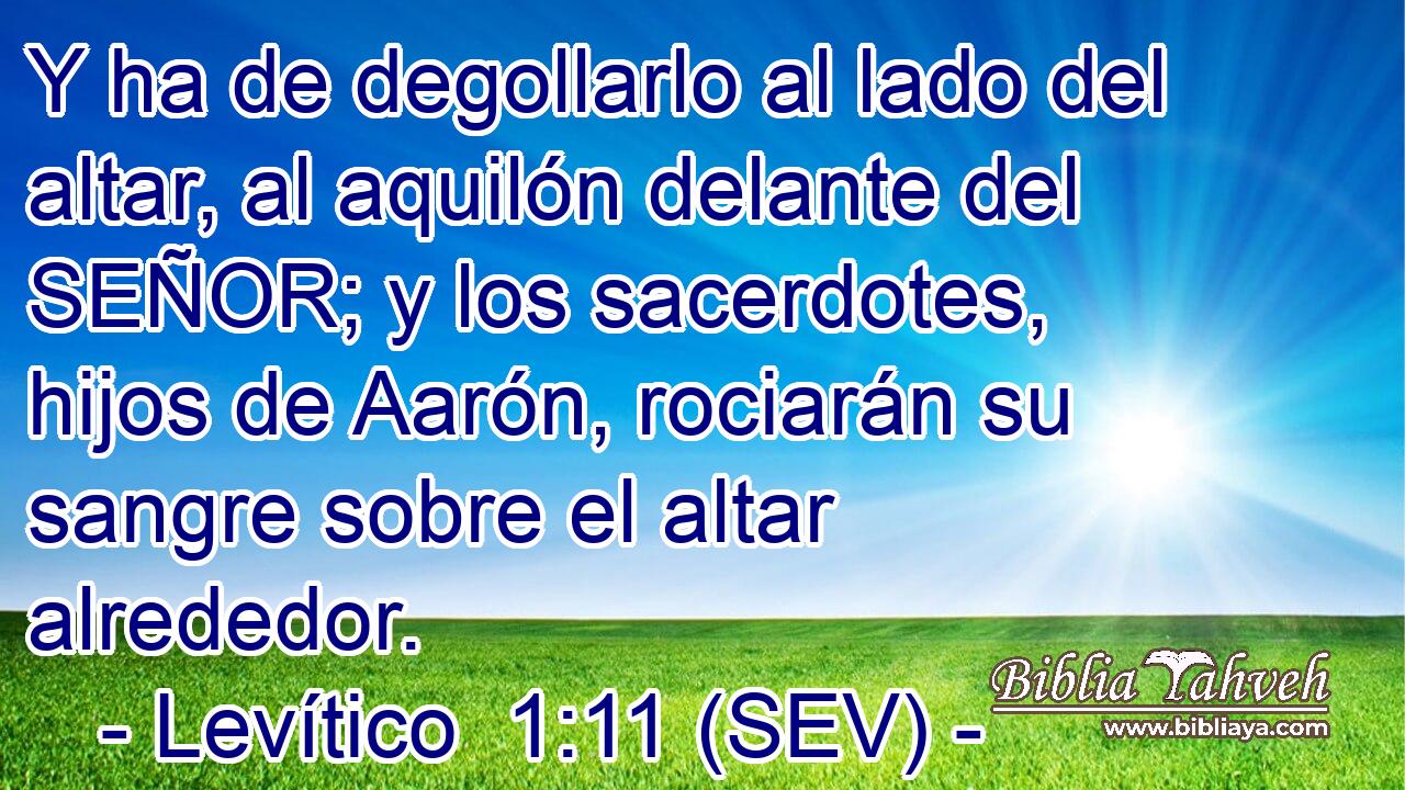 Y ha de degollarlo al lado del altar, al aquilón delante del SEÑOR; y los sacerdotes, hijos de Aarón, rociarán su sangre sobre el altar alrededor.