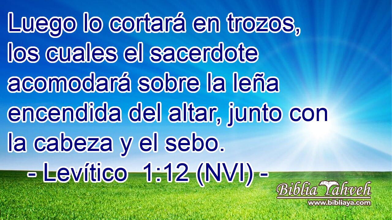  Luego lo cortará en trozos, los cuales el sacerdote acomodará sobre la leña encendida del altar, junto con la cabeza y el sebo. 