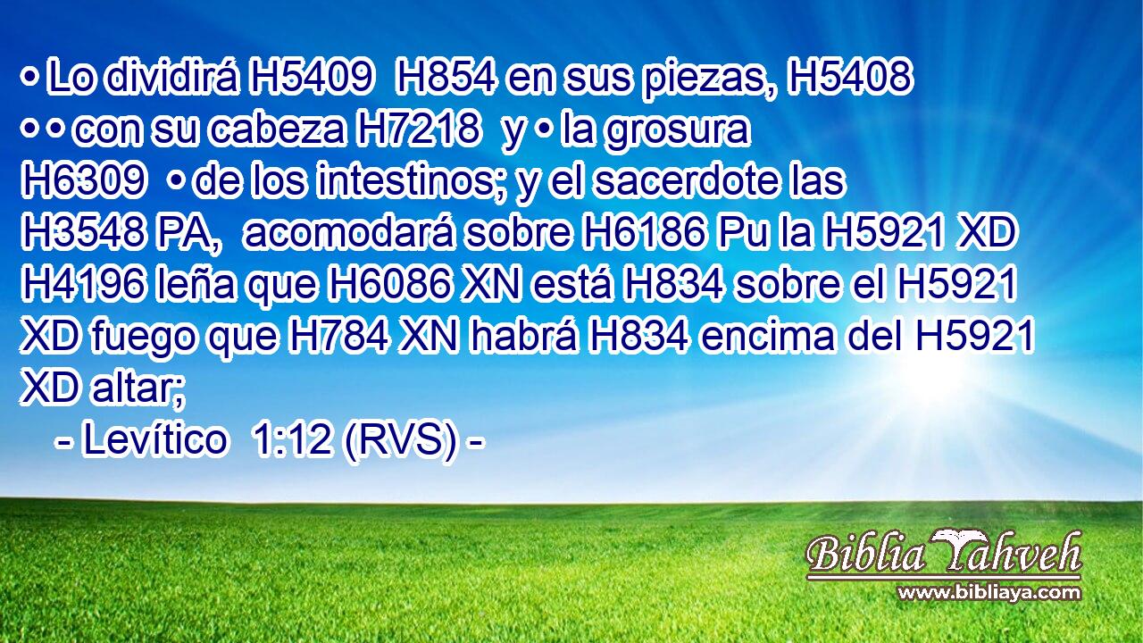 • Lo dividirá H5409  H854 en sus piezas, H5408  • • con su cabeza H7218  y • la grosura H6309  • de los intestinos; y el sacerdote las H3548 PA,  acomodará sobre H6186 Pu la H5921 XD H4196 leña que H6086 XN está H834 sobre el H5921 XD fuego que H784 XN habrá H834 encima del H5921 XD altar; 