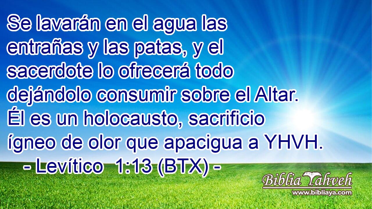 Se lavarán en el agua las entrañas y las patas, y el sacerdote lo ofrecerá todo dejándolo consumir sobre el Altar. Él es un holocausto, sacrificio ígneo de olor que apacigua a YHVH.