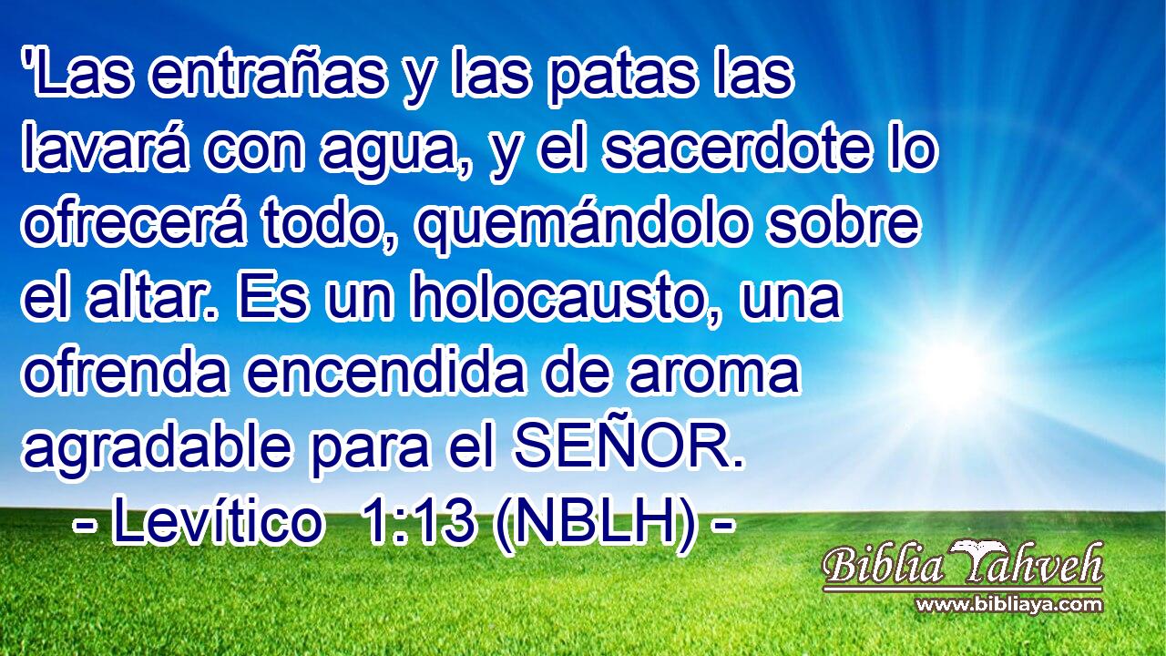  'Las entrañas y las patas las lavará con agua, y el sacerdote lo ofrecerá todo, quemándolo sobre el altar. Es un holocausto, una ofrenda encendida de aroma agradable para el SEÑOR. 