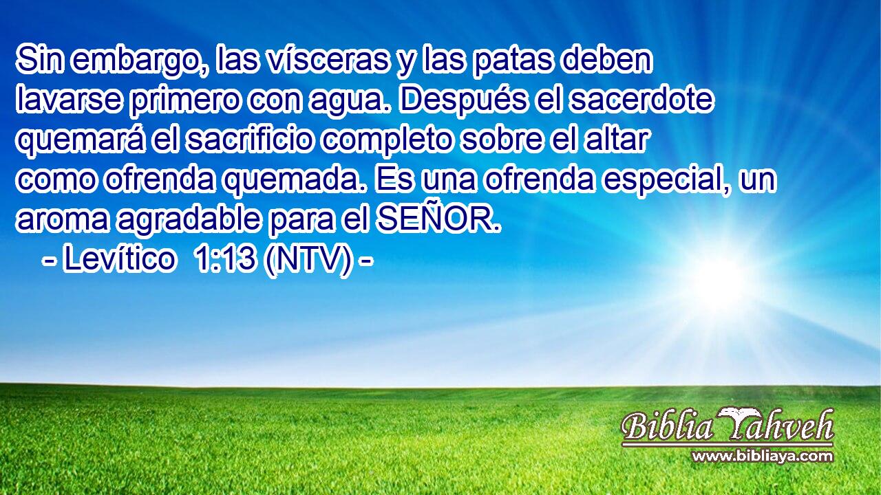 Sin embargo, las vísceras y las patas deben lavarse primero con agua. Después el sacerdote quemará el sacrificio completo sobre el altar como ofrenda quemada. Es una ofrenda especial, un aroma agradable para el SEÑOR.