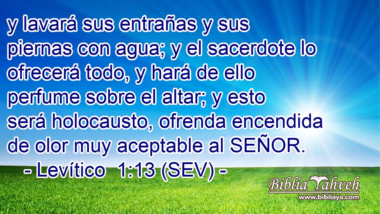 y lavará sus entrañas y sus piernas con agua; y el sacerdote lo ofrecerá todo, y hará de ello perfume sobre el altar; y esto será holocausto, ofrenda encendida de olor muy aceptable al SEÑOR.