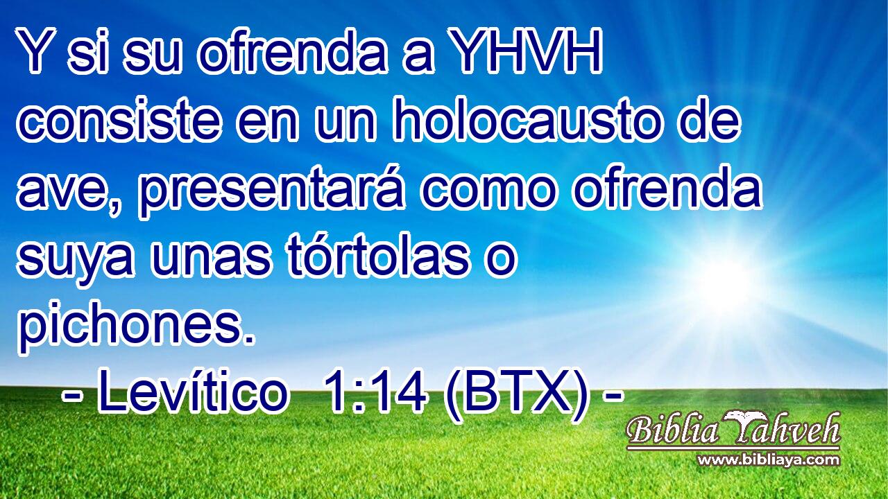 Y si su ofrenda a YHVH consiste en un holocausto de ave, presentará como ofrenda suya unas tórtolas o pichones.