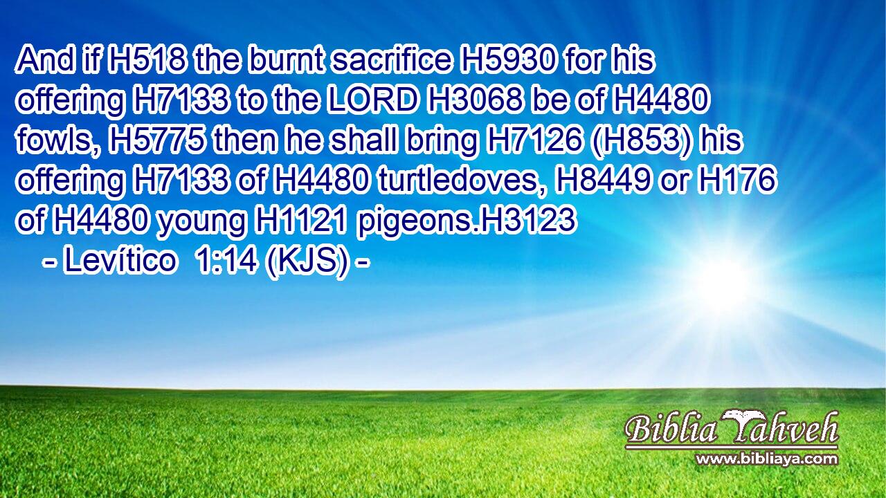 And if H518 the burnt sacrifice H5930 for his offering H7133 to the LORD H3068 be of H4480 fowls, H5775 then he shall bring H7126 (H853) his offering H7133 of H4480 turtledoves, H8449 or H176 of H4480 young H1121 pigeons.H3123