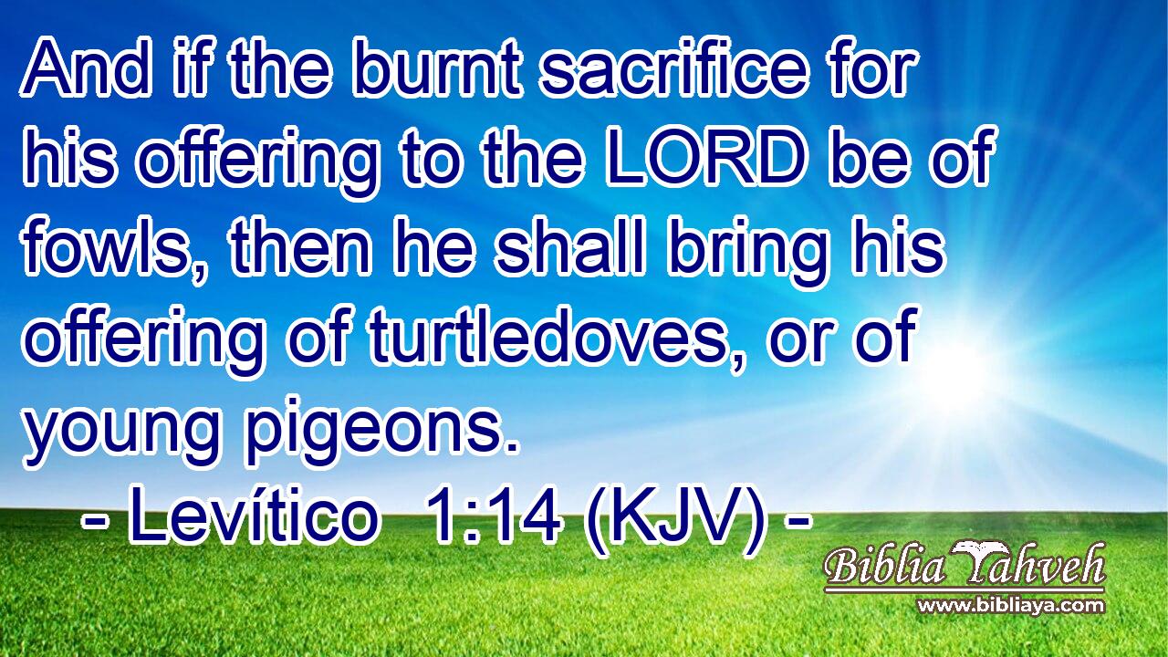 And if the burnt sacrifice for his offering to the LORD be of fowls, then he shall bring his offering of turtledoves, or of young pigeons.