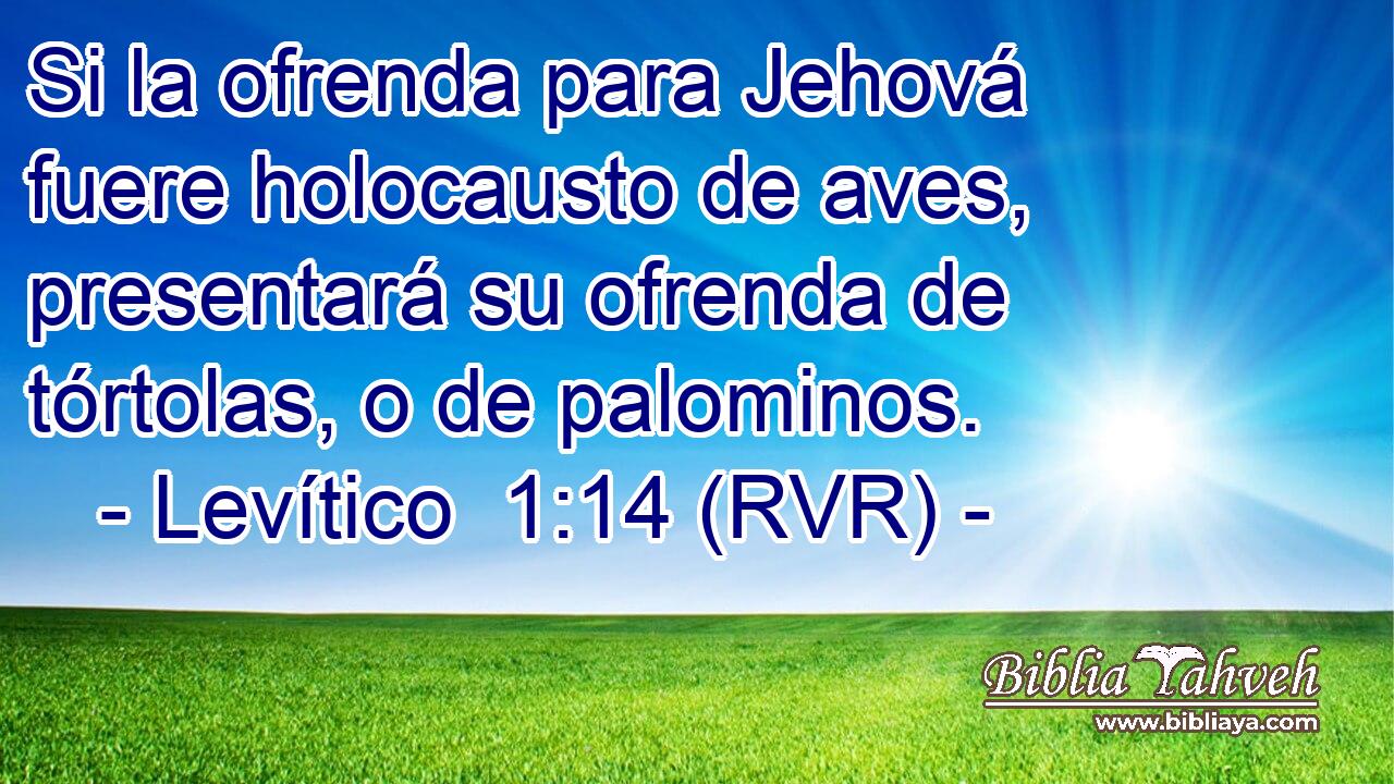 Si la ofrenda para Jehová fuere holocausto de aves, presentará su ofrenda de tórtolas, o de palominos.