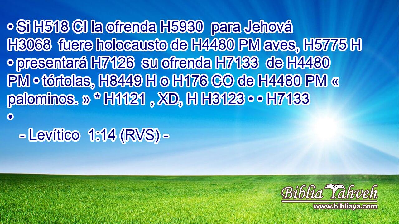 • Si H518 CI la ofrenda H5930  para Jehová H3068  fuere holocausto de H4480 PM aves, H5775 H • presentará H7126  su ofrenda H7133  de H4480 PM • tórtolas, H8449 H o H176 CO de H4480 PM « palominos. » * H1121 , XD, H H3123 • • H7133  • 