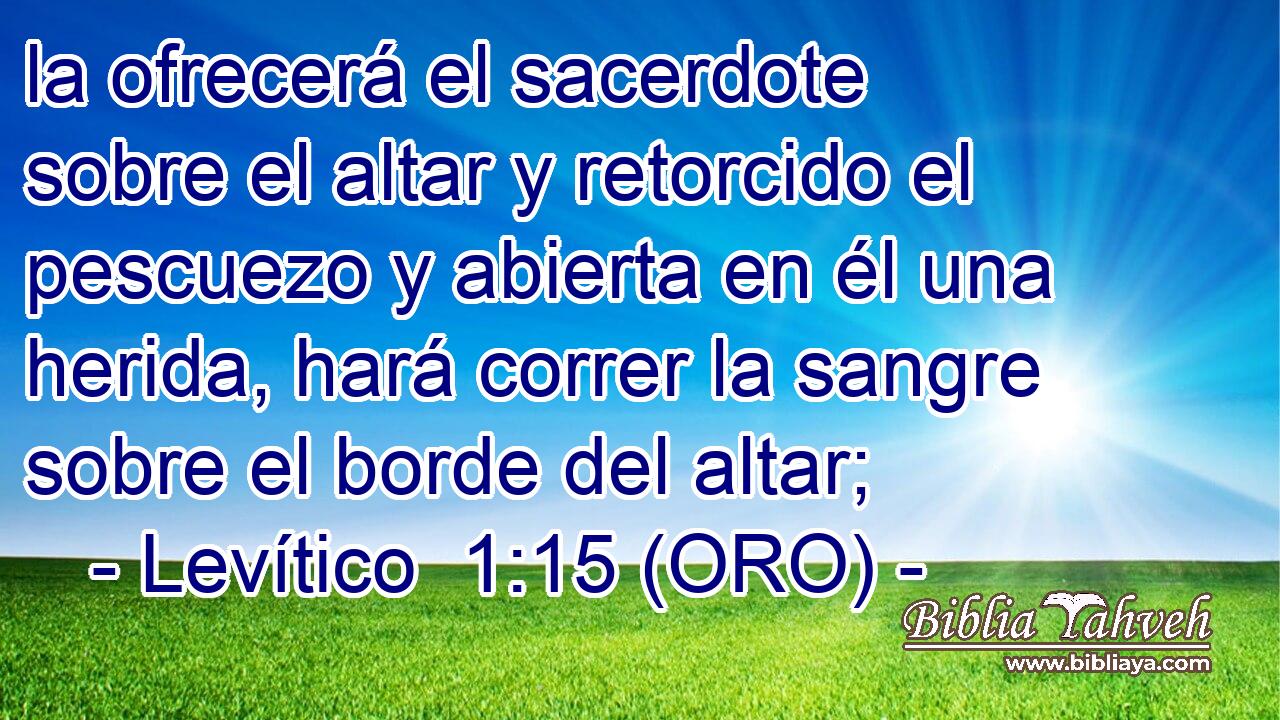 la ofrecerá el sacerdote sobre el altar y retorcido el pescuezo y abierta en él una herida, hará correr la sangre sobre el borde del altar; 