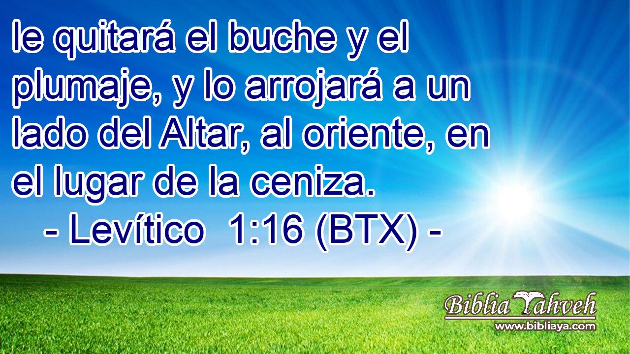 le quitará el buche y el plumaje, y lo arrojará a un lado del Altar, al oriente, en el lugar de la ceniza.