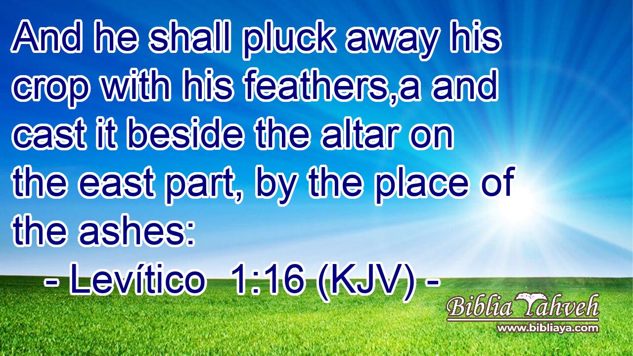 And he shall pluck away his crop with his feathers,a and cast it beside the altar on the east part, by the place of the ashes: