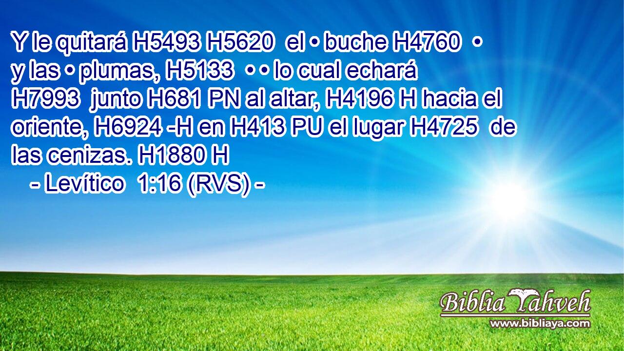 Y le quitará H5493 H5620  el • buche H4760  • y las • plumas, H5133  • • lo cual echará H7993  junto H681 PN al altar, H4196 H hacia el oriente, H6924 -H en H413 PU el lugar H4725  de las cenizas. H1880 H 