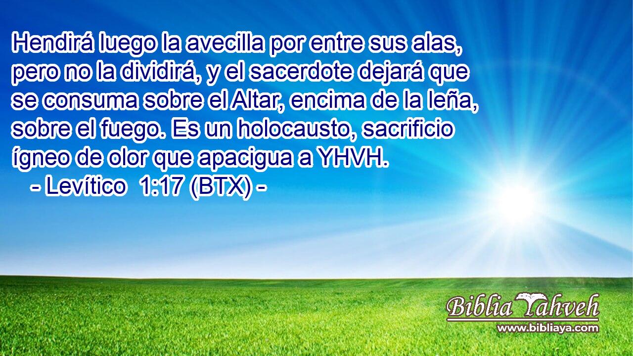 Hendirá luego la avecilla por entre sus alas, pero no la dividirá, y el sacerdote dejará que se consuma sobre el Altar, encima de la leña, sobre el fuego. Es un holocausto, sacrificio ígneo de olor que apacigua a YHVH.