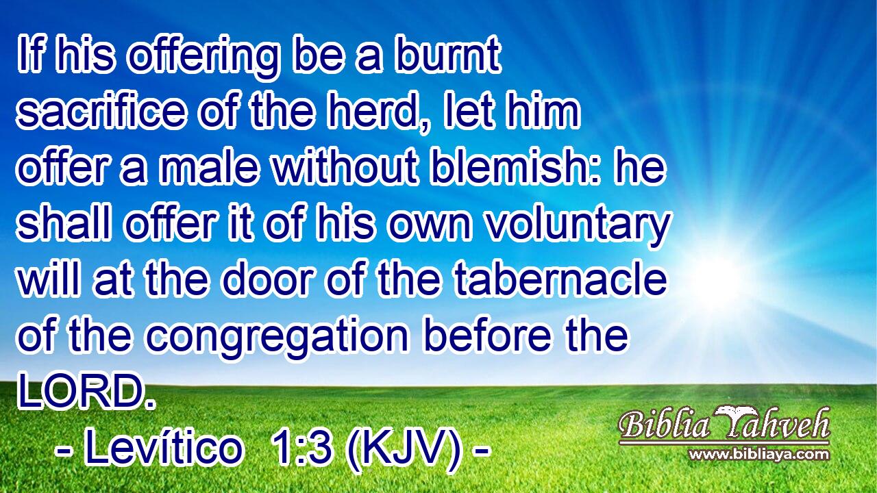 If his offering be a burnt sacrifice of the herd, let him offer a male without blemish: he shall offer it of his own voluntary will at the door of the tabernacle of the congregation before the LORD.