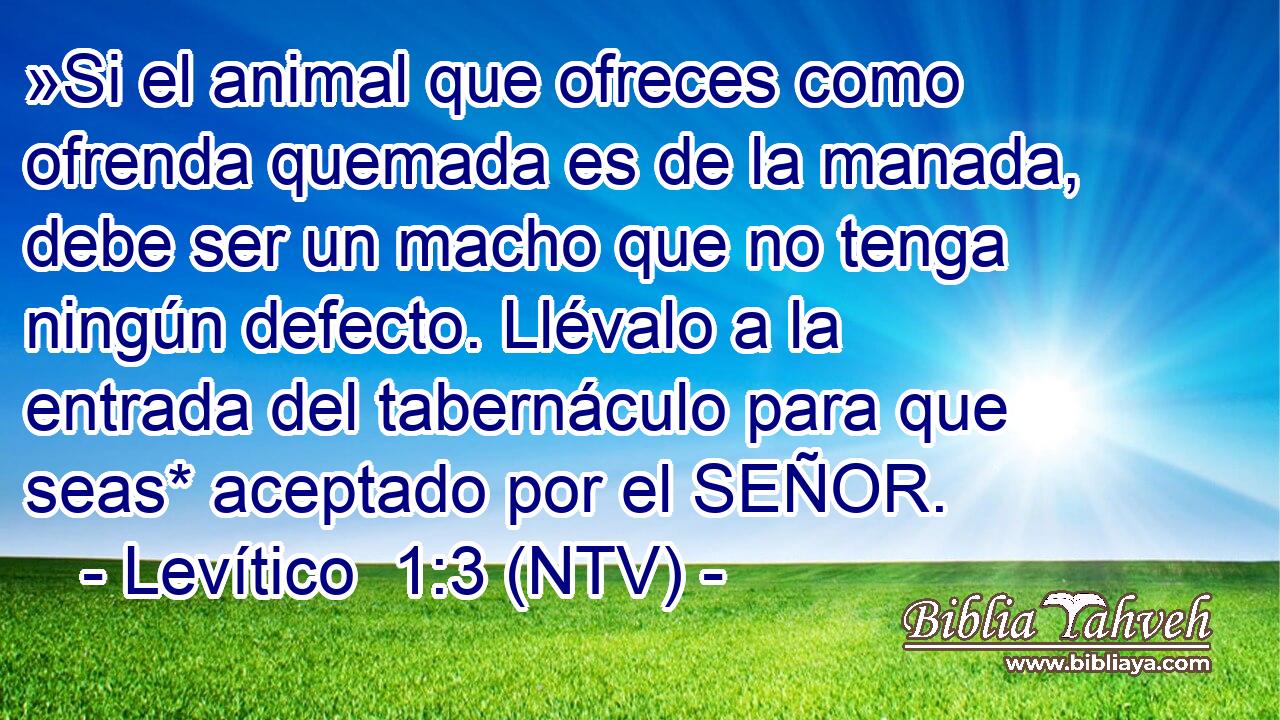 »Si el animal que ofreces como ofrenda quemada es de la manada, debe ser un macho que no tenga ningún defecto. Llévalo a la entrada del tabernáculo para que seas* aceptado por el SEÑOR.