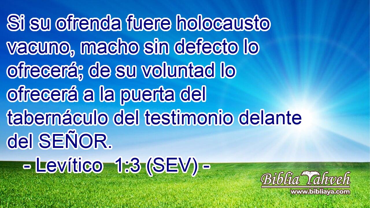 Si su ofrenda fuere holocausto vacuno, macho sin defecto lo ofrecerá; de su voluntad lo ofrecerá a la puerta del tabernáculo del testimonio delante del SEÑOR.
