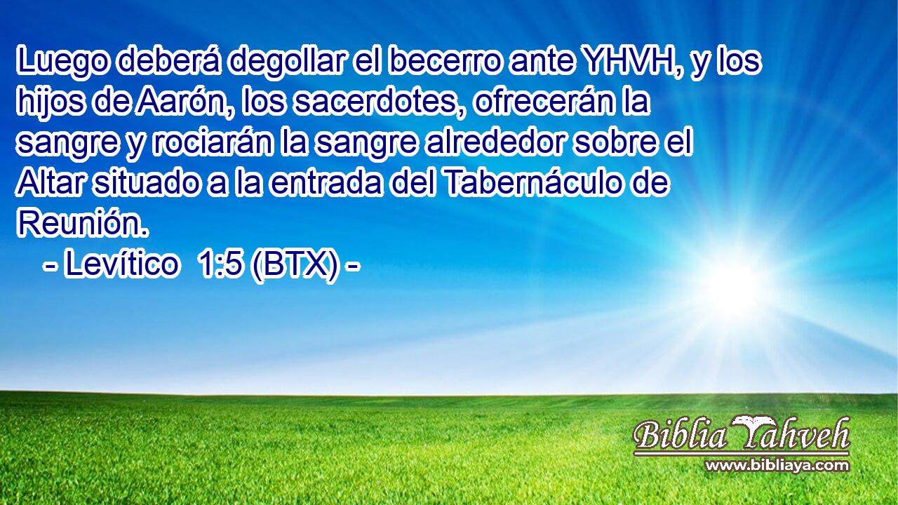 Luego deberá degollar el becerro ante YHVH, y los hijos de Aarón, los sacerdotes, ofrecerán la sangre y rociarán la sangre alrededor sobre el Altar situado a la entrada del Tabernáculo de Reunión.
